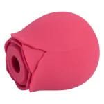 Rose Sucking Simulator - Imagen 2