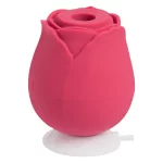 Rose Sucking Simulator - Imagen 4